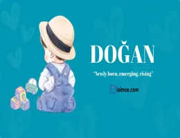 Doğan Name Meaning