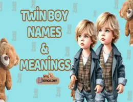 Ali-Kemal Name Meaning
