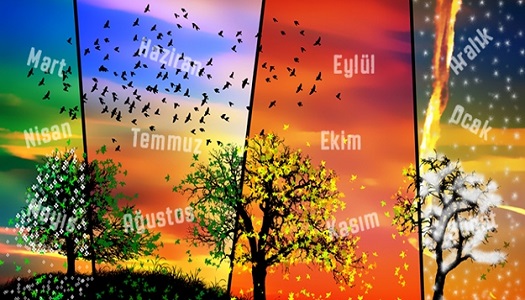 Where Do The Names Of The Months In The Calendar Come From What Are 